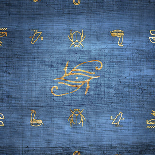 Memoir of a Pharaoh | PvraPrint on DLES | The Royal Decree w/ YGO Zones