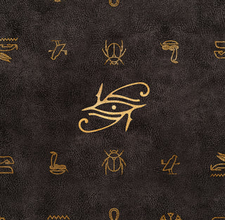 Memoir of a Pharaoh | PvraPrint on DLES | The Forgotten Codex w/ YGO Zones