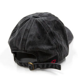 Crimson Pvramid Sigil | The Founding | Dad Hat x Ash