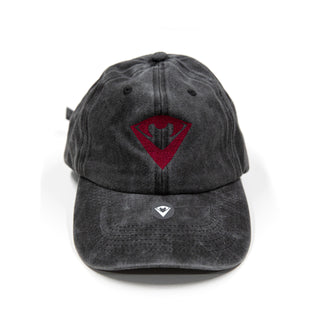 Crimson Pvramid Sigil | The Founding | Dad Hat x Ash