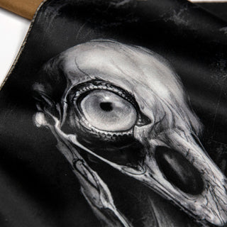 Samhain Raven x Ash | Alchemy Collection | Pvraprint on DLES