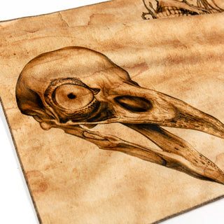 Samhain Raven x Parchment | Alchemy Collection | Pvraprint on DLES