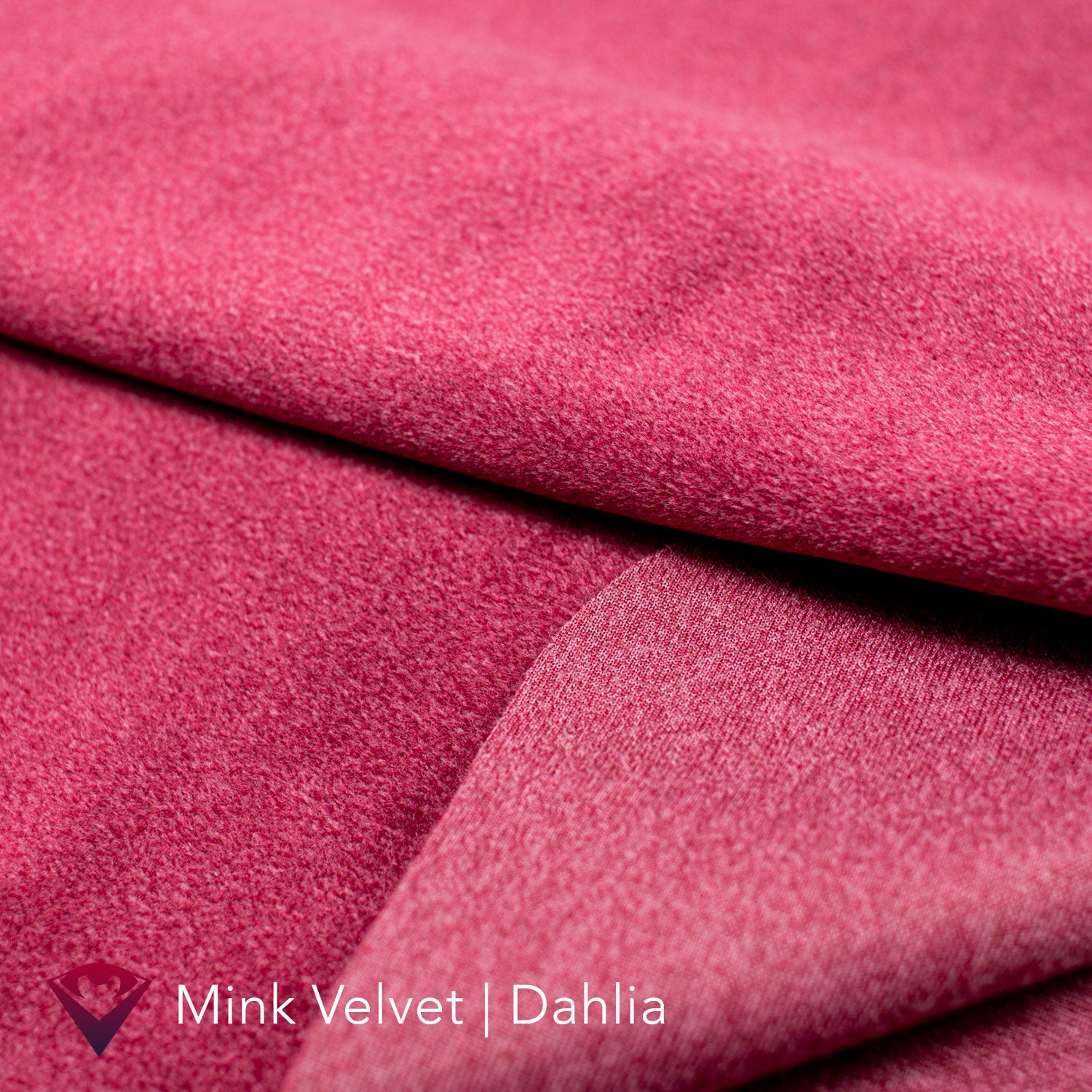 Valentine's Lily | Mink Velvet Dahlia Red x Light Salmon